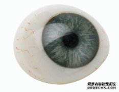 <b>義眼定制：義眼多久需要換一次</b>